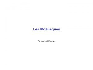 Les Mollusques Emmanuel Bernier Les mollusques situation phylogntique