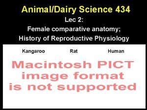 AnimalDairy Science 434 Lec 2 Female comparative anatomy