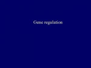 Gene regulation Gene regulation NUCLEUS CYTOPLASM R S