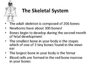 Sutural bone