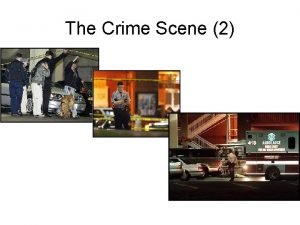 Crime scene 2