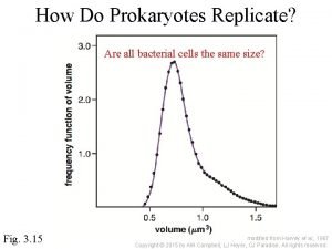 How Do Prokaryotes Replicate Are all bacterial cells