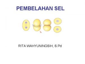 PEMBELAHAN SEL RITA WAHYUNINGSIH S Pd Bab 4
