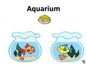 Aquarium Der genaue Zeitpunkt zu dem erstmals Lebewesen