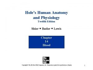 Holes Human Anatomy and Physiology Twelfth Edition Shier
