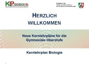 Neue gymnasiale oberstufe
