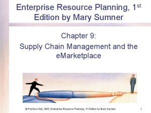 Enterprise Resource Planning 1 st Edition by Mary