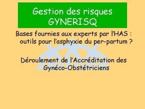 Gestion des risques GYNERISQ Bases fournies aux experts