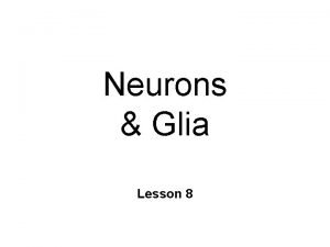 Neurons Glia Lesson 8 Nature of the Nervous
