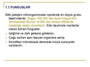 1 1 FUNGUSLAR Bitki patojeni mikrorganizmalar ierisinde en