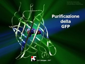 Purificazione della GFP LLC Bologna 2007 Proteina Fluorescente