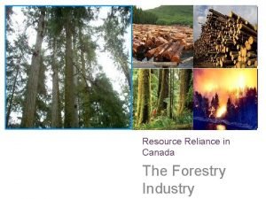 Resource Reliance in Canada The Forestry Industry The