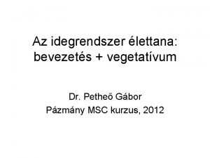 Az idegrendszer lettana bevezets vegetatvum Dr Pethe Gbor