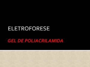 Gel de poliacrilamida Gel de poliacrilamida