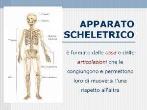 Arto superiore Arto superiore