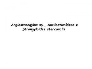 Angiostrongylus sp Ancilostomdeos e Strongyloides stercoralis Barbeiro Cabellereiro