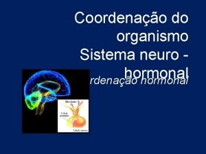 Coordenação hormonal