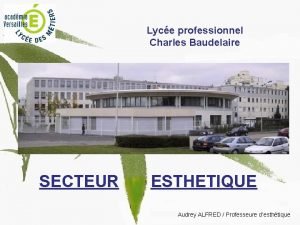 Lyce professionnel Charles Baudelaire SECTEUR ESTHETIQUE Audrey ALFRED