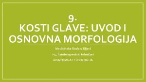 9 KOSTI GLAVE UVOD I OSNOVNA MORFOLOGIJA Medicinska