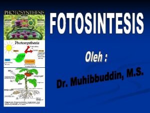 Metabolisme Katabolisme Anabolisme Perombakan Sintesis 1 Karbohidrat 2