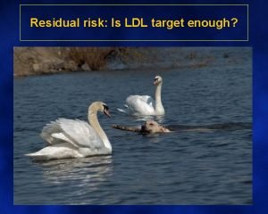Residual risk Is LDL target enough An interpretation