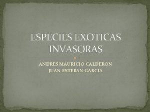 ESPECIES EXOTICAS INVASORAS ANDRES MAURICIO CALDERON JUAN ESTEBAN