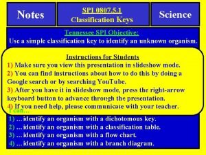 Dinosaur dichotomous key