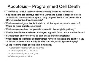 Apoptosis Programmed Cell Death TrueFalse In adult tissues
