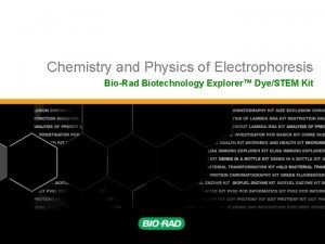 Chemistry and Physics of Electrophoresis BioRad Biotechnology Explorer