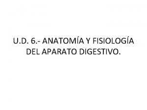 U D 6 ANATOMA Y FISIOLOGA DEL APARATO