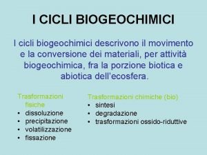 I CICLI BIOGEOCHIMICI I cicli biogeochimici descrivono il