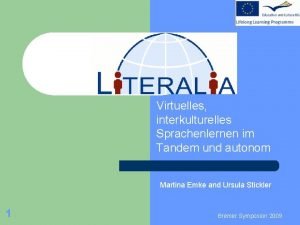 Virtuelles interkulturelles Sprachenlernen im Tandem und autonom Martina