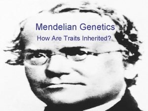 Mendelian Genetics How Are Traits Inherited Gregor Mendel