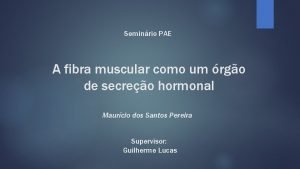 Seminrio PAE A fibra muscular como um rgo