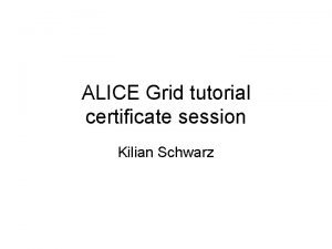 Alice grid certificate