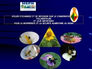 ATELIER DECHANGES ET DE REFLEXION SUR LA CONSERVATION