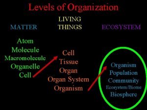 Levels of Organization MATTER LIVING THINGS ECOSYSTEM Atom