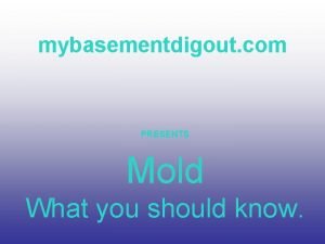 mybasementdigout com PRESENTS Mold What you should know