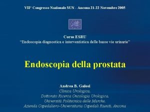 VII Congresso Nazionale SUN Ancona 21 22 Novembre