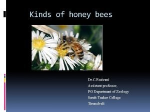 Kinds of honey bees Dr C Esaivani Assistant