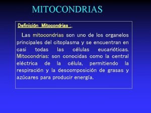 Principales funciones de la mitocondria