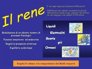 E uno degli organi pi altamente differenziati 30