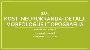 10 KOSTI NEUROKRANIJA DETALJI MORFOLOGIJE I TOPOGRAFIJA Medicinska