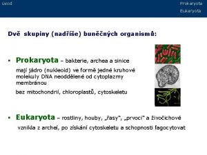 vod Prokaryota Eukaryota Dv skupiny nade bunnch organism