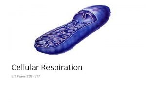 Cellular Respiration 8 3 Pages 228 237 CELLULAR