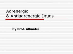 Adrenergic Antiadrenergic Drugs By Prof Alhaider Anatomy of