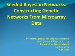 Seeded Bayesian Networks Constructing Genetic Networks From Microarray