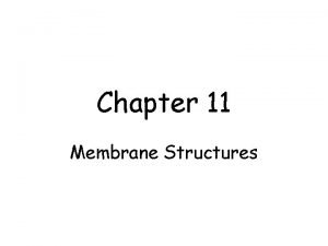 Chapter 11 Membrane Structures Plasma Membrane The container
