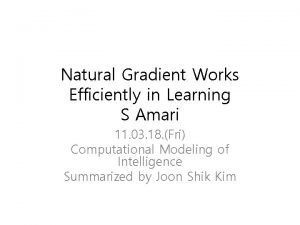 Natural gradient works efficiently in learning
