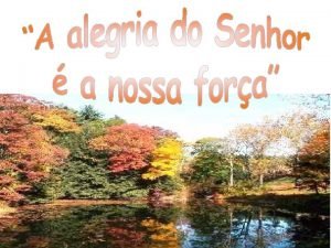 Beleza das flores